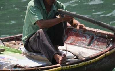 The Mexican Fisherman: A Very Dangerous Story